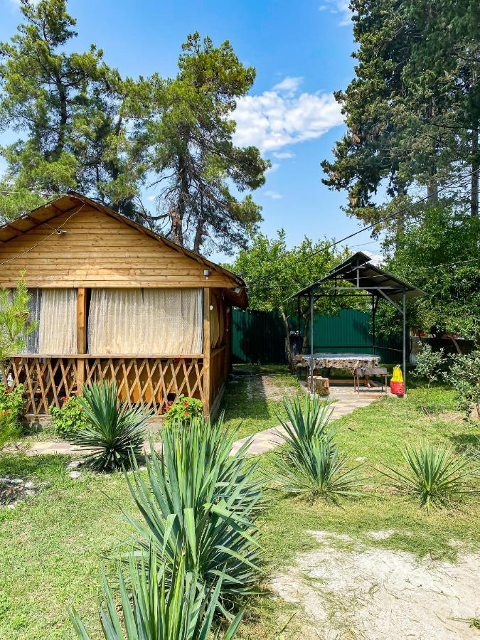 Guest House Harmony Pizunda Exterior photo