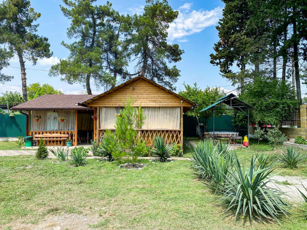 Guest House Harmony Pizunda Exterior photo